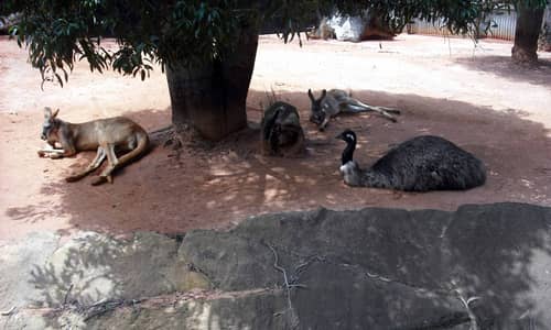 Dreamworld, February 2012