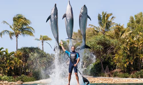 Sea World Announces Biggest Summer Ever