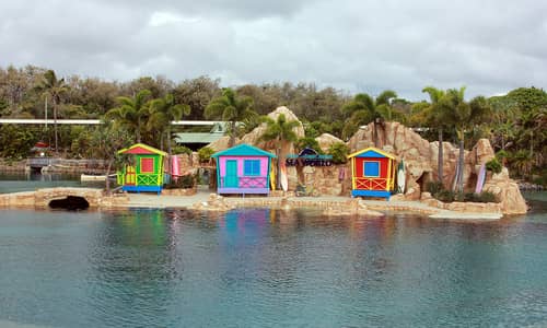 Sea World, February 2015