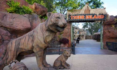 Dreamworld responds to Tiger Island footage