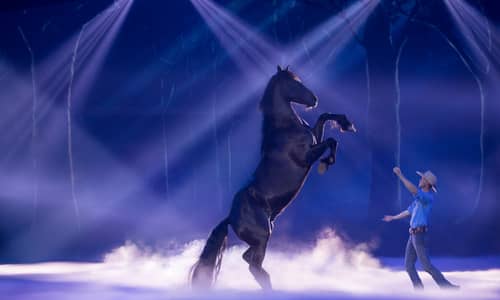 Saddle Up as Australian Outback Spectacular  Reopens on the Gold Coast