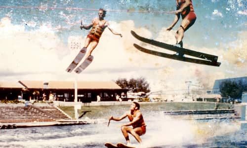 Sea World Celebrates 50th Birthday