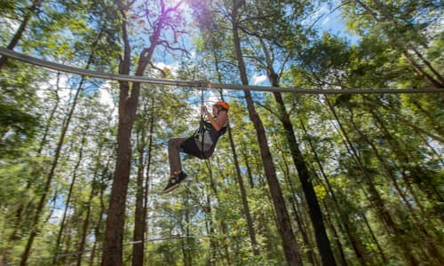 TreeTop Central Coast wins NSW Tourism Awards