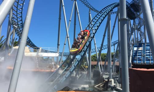 Sea World, January 2016