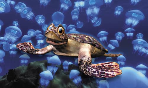 New 3D show and animal attraction on the cards