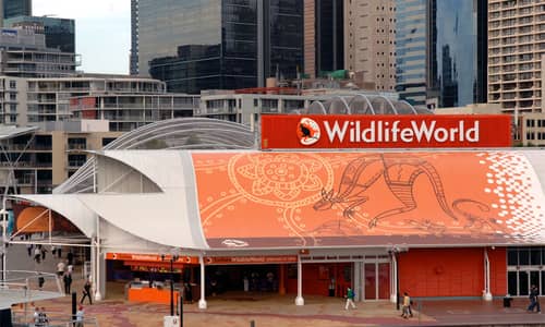 Village and Sydney Attractions play dirty