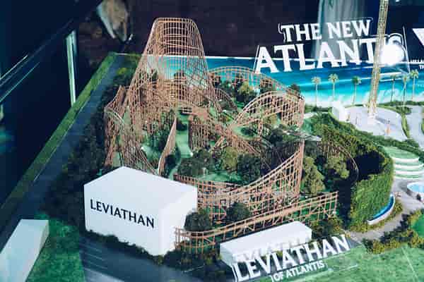 Leviathan model