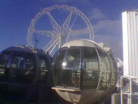 Pod