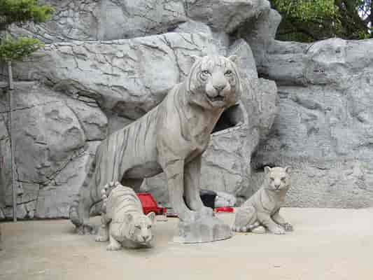 Tiger Island refurbishment