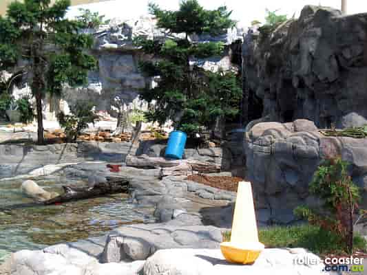 Polar Bear Shores