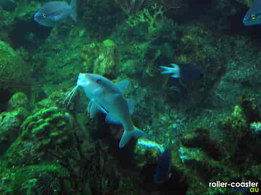 Shark Bay