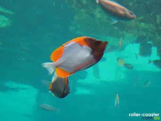 Shark Bay