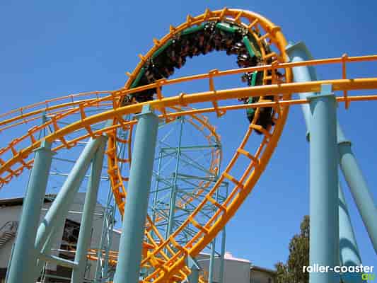 Vertical loop