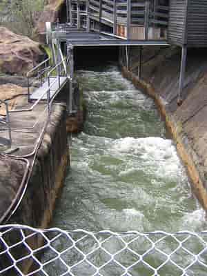 Thunder River Rapids