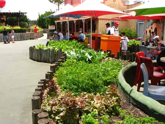 Lush garden theming