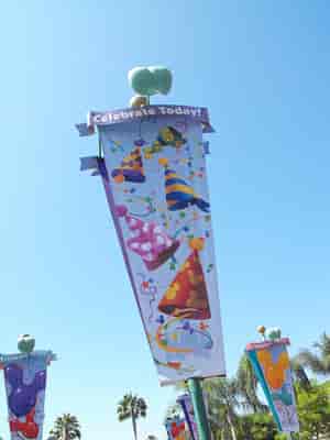 Disneyland Resort