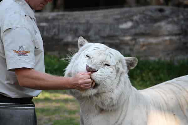 Feeding Time