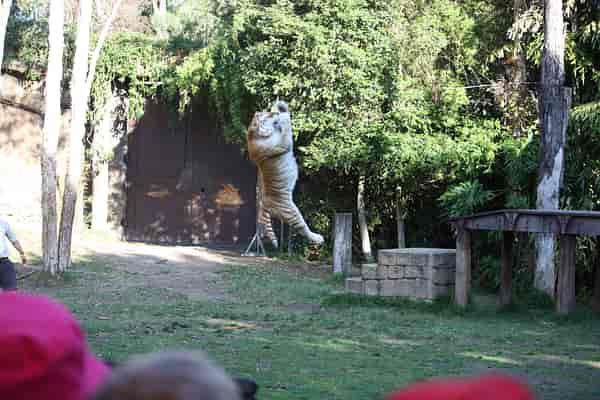 Jump