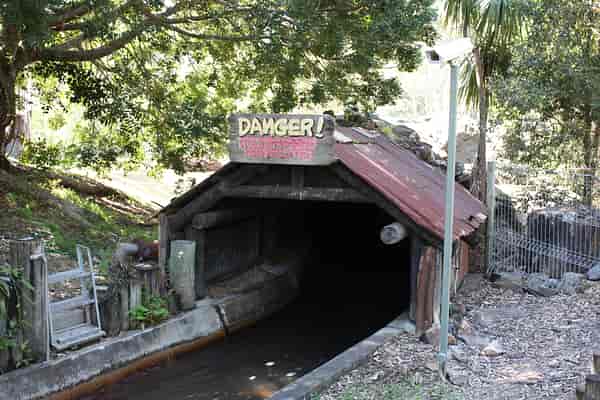 Tunnel Entry