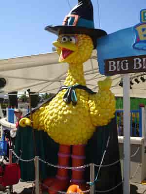 Big Bird
