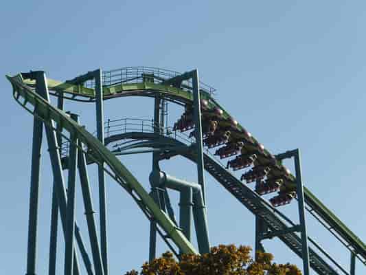 Raptor