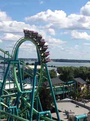 Raptor