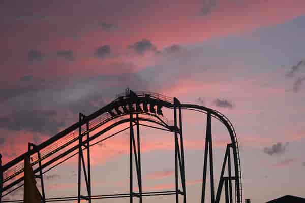 Raptor 