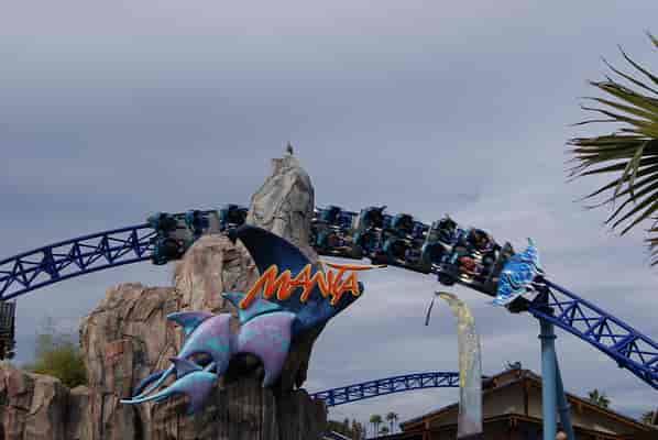 Manta