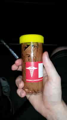 Specimen Jar