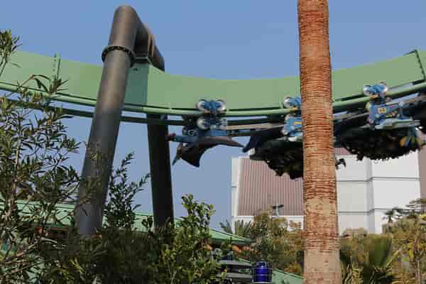 The Flying Dinosaur