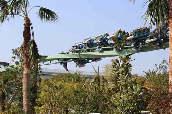 The Flying Dinosaur