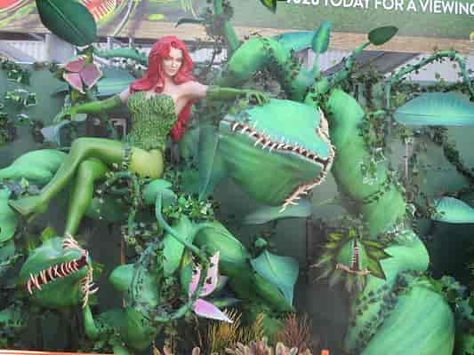 Poison Ivy