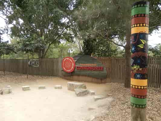 Corroboree