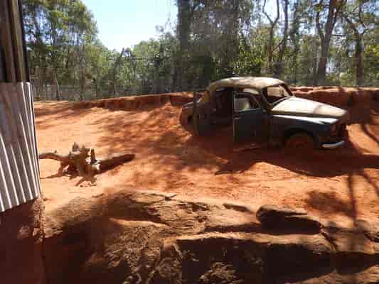 Dingo Enclosure