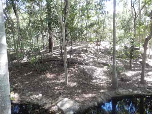 Cassowary Enclosure