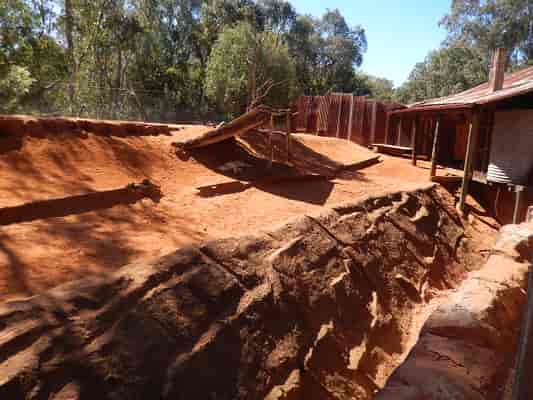 Dingo Enclosure