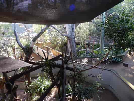 Aviary and Tree Kangaroo Enclosure