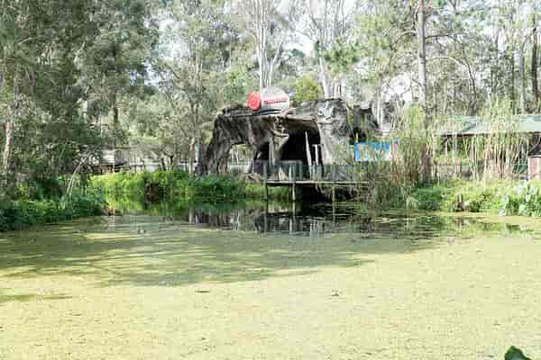 Dreamworld river
