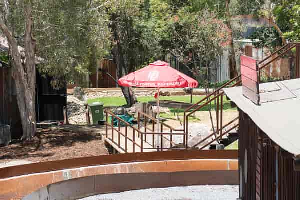 Log Ride reopening