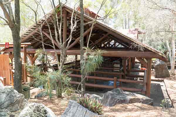 Log Ride reopening