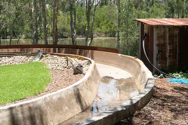 Log Ride reopening