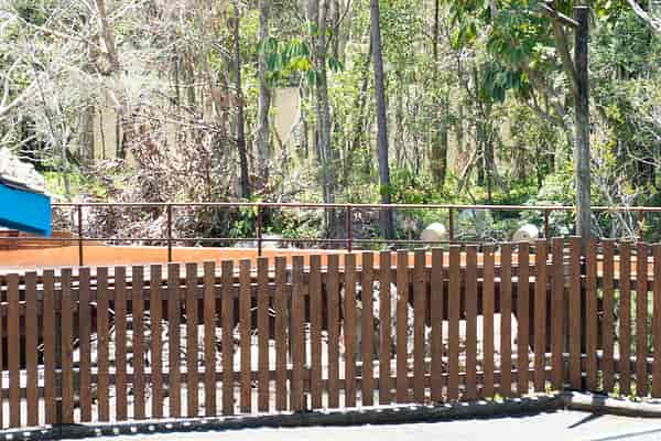 Log Ride reopening
