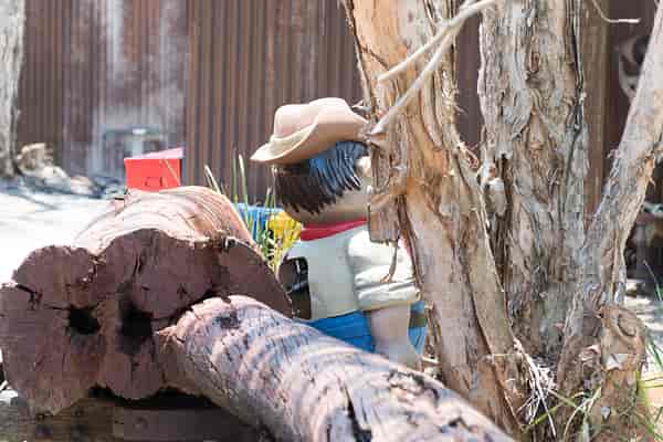 Log Ride reopening