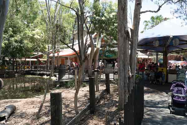 Corroboree 