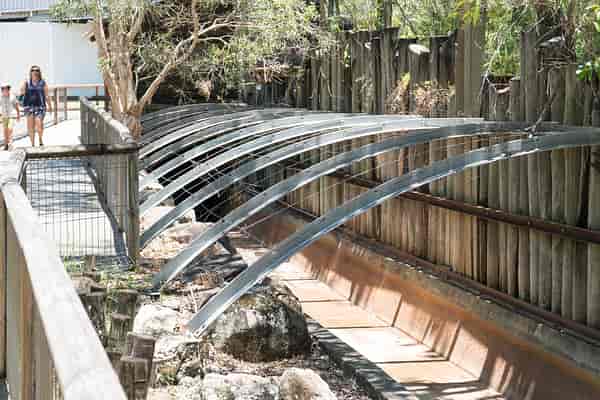 Log Ride reopening