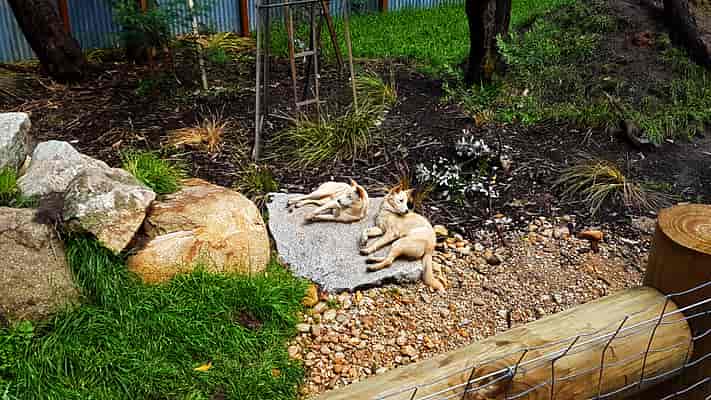 Wildlife Trail