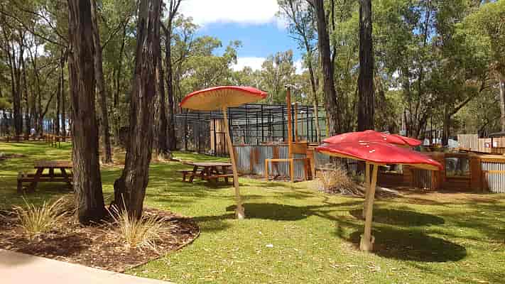 Wildlife Trail