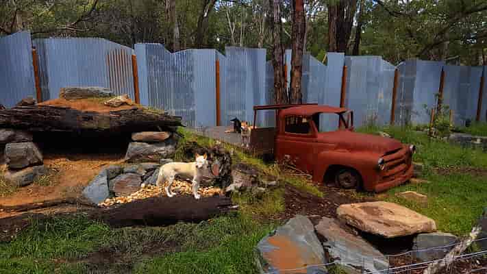 Wildlife Trail