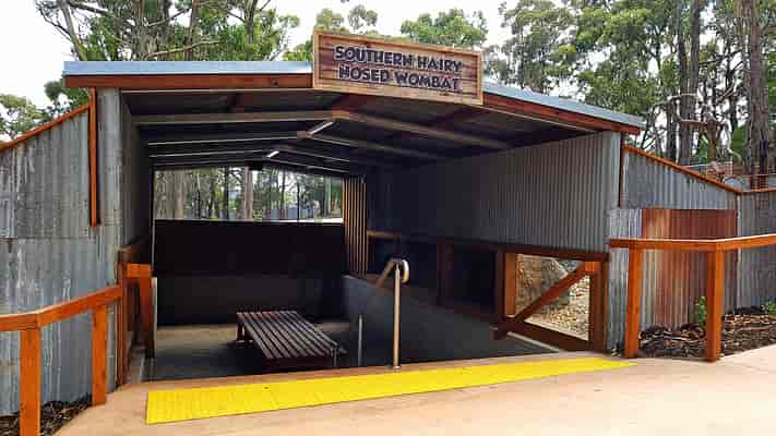 Wildlife Trail - Wombat