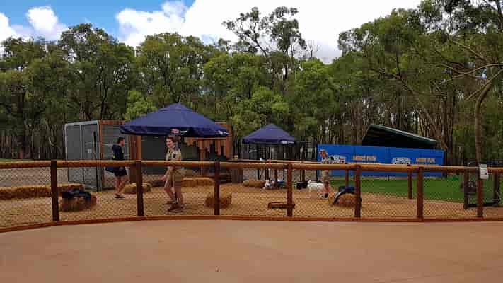 Wildlife Trail - Animal Nursery